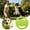 Green, variant on Dog Toy Soft Floating Dog with Handles Interactive Dog Toy Lightweight Water-Friendly Training Flyer for Large Medium Dogs Summer Beach Pool and Park Play