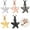 5 Color Pack, variant on Starfish Cremation Pendant Small Urns for Ashes Keepsake Urn Necklace
