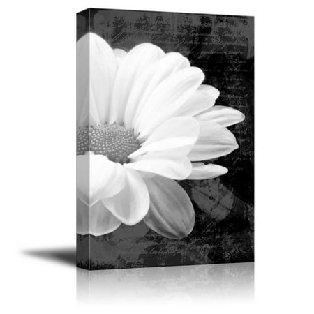 Daisy Canvas Vintage Baseball (wall26 - Up Close with a Daisy on a Black and White Vintage Portrait - Canvas Art Home Decor - 32x48)