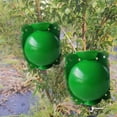 thumbnail image 2 of Équipement de Reproduction Sexuelle Boîte d'Enracinement des Plantes ABS Réutilisable Réutilisable 6 Pcs Variétés de Jardin Vert, 2 of 5