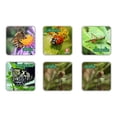 thumbnail image 1 of Memopares De Insectos Educatodo J-0142, 1 of 2