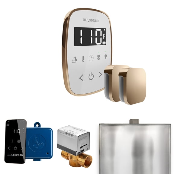 Mr Steam ButlerFlex Max Steam Shower Pkg w/TempoFlex Control and Steamhead in White Polished Gold