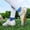 White, variant on Soccer Cleats for Boys, Low Top Hook and Loop Athletic Training Football Shoes Turf Detachable Studs Sneakers