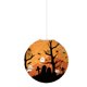 thumbnail image 2 of Linternas Papel Halloween Decorativas 30 Cm Colgantes Fiesta (D), 2 of 4