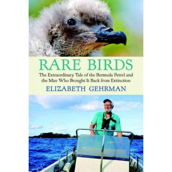 Rare Birds : The Extraordinary Tale of the Bermuda Petrel and the Man Who Brought It Back from Extinction (Paperback)