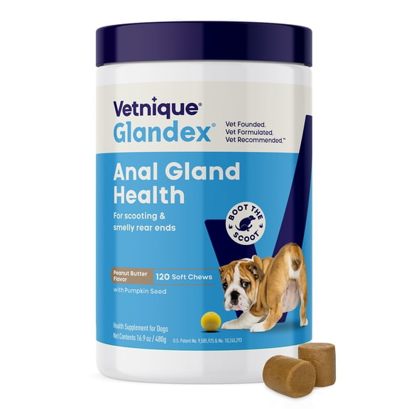 Vetnique Labs Glandex Anal Gland Soft Chews, for All Dogs, Peanut Butter Flavored, 120 Count