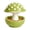 Light Green, variant on Mushroom Bird Feeding Bowl for Pet Birds, 11Cm/4.3Inch Food Dish with Lower Bowl Base for Indoor Cage and Garden Use