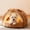 brown, variant on Nebwoak Semi Enclosed Cat Bed Cave, Warm Winter Donut Pet Bed for Cats and Small Dogs, Self Warming Plush Lining Washable Cute Frog Design