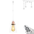 thumbnail image 1 of FSLiving Gimbaled LED Track Pendant Light,Adjustable Height Juno Track Lighting,Retro Rose Gold Socket&Clear Glass Shade, Remote Control with E26 Smart LED Edison Bulb for Vaulted Ceiling - 1 Light, 1 of 9