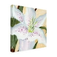 thumbnail image 2 of Annie Warren 'White Lily I' Canvas Art, 2 of 3