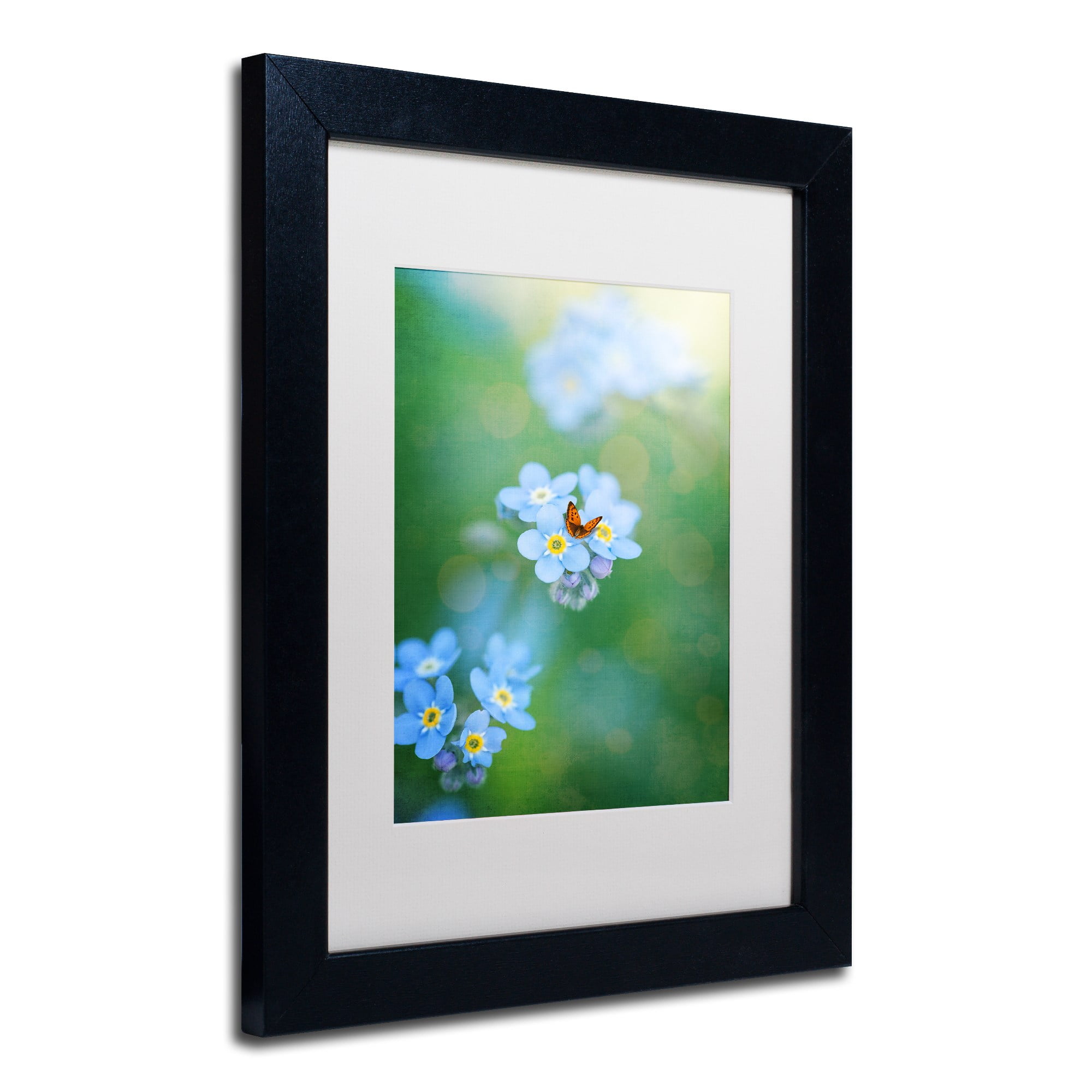 Trademark Fine Art "Forget-Me-Not" Canvas Art by Philippe Sainte-Laudy, White Matte, Black Frame