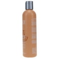 thumbnail image 3 of ABBA Color Protection Shampoo 8 oz, 3 of 8