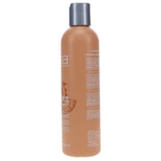 ABBA Color Protection Shampoo 8 oz