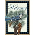 thumbnail image 2 of Kimberly, Allen 11x14 White Modern Wood Framed Museum Art Print Titled - Blue Jay Welcome, 2 of 4
