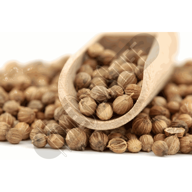 Coriander Whole Seeds Home Brewing Belgian Wit Wheat Beer 1oz Culinary