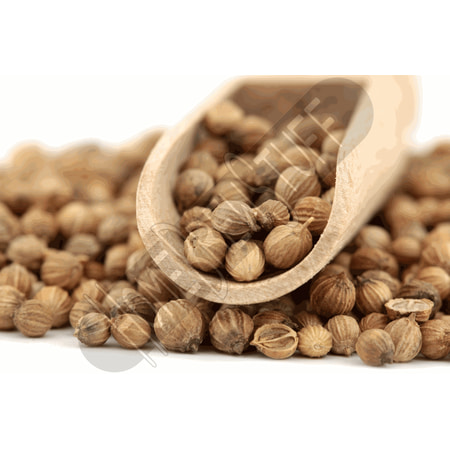 CORIANDER WHOLE SEEDS Home Brewing Belgian Wit Wheat Beer 1 OZ Culinary (The Best Wheat Beer)