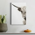 thumbnail image 4 of Highland Cattle Premium Gallery Wrapped Canvas - Ready to Hang - 18 x 27, 4 of 5