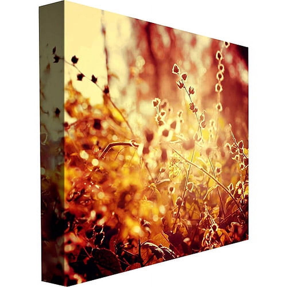 Trademark Fine Art "Sunset in my Garden" Canvas Art by Beata Czyzowska