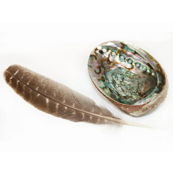 Soul Sticks Large Green Abalone Shell & Brown Turkey Feather for Smudging