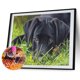 thumbnail image 1 of Cuadros Decorativos Kit de póster de perro encantador 5D de pintura de diamante de taladro redondo completo de bricolaje (W0989) Sywqhk Nuevos Originales, 1 of 1