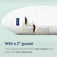thumbnail image 5 of REMEDY HEALTH PILLOW - Original for Incredible Night’s Sleep, Standard, White, 5 of 5