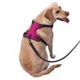 thumbnail image 3 of Bingfone Darkmagenta No Pull Dog Vest Harness For Small Medium Large Dogs Strap For Puppy Walking,Training,Dog Harness-Large, 3 of 9
