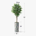 thumbnail image 4 of Artificial Tree in Modern Polygon Pattern Effect Planter, Fake Ficus Silk Tree for Indoor and Outdoor Home Decoration - 75" Overall Tall (Plant Pot Plus Tree), 4 of 4