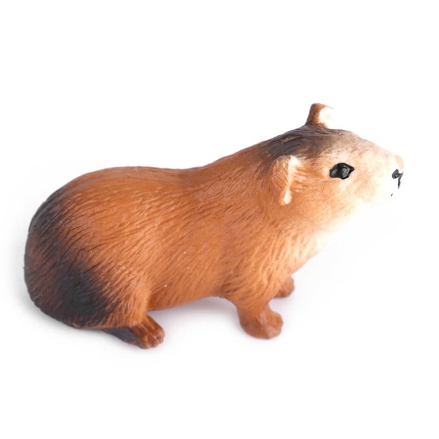Modelo de conejillo de indias animal, modelo de conejillo de indias altamente modelo de conejillo de indias modelo de conejillo de indias decoración diseño de próxima generación