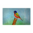 thumbnail image 1 of Betsy Drake DM920G Tapis de Porte Peint de 30 x 50 Po, 1 of 1