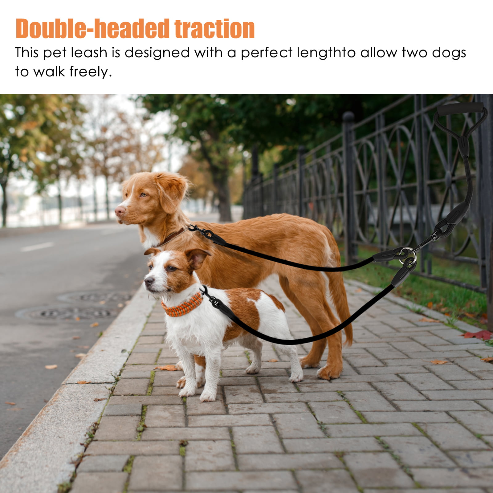 Comfortable Shock Absorbing Reflective Bungee for Two Dogs Alsol Lamesa Dual Dog Leash 360 Swivel No Tangle Double Dog Walking Training Leash Double Dog Leash 