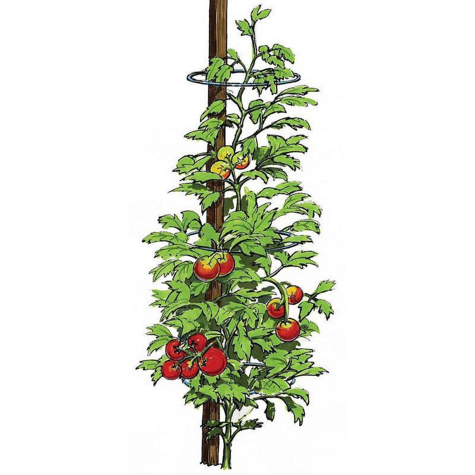 Veggie Cage No Tie Tomato Bean Pea Support Rings USA Made 10.5 inch Pack of 6
