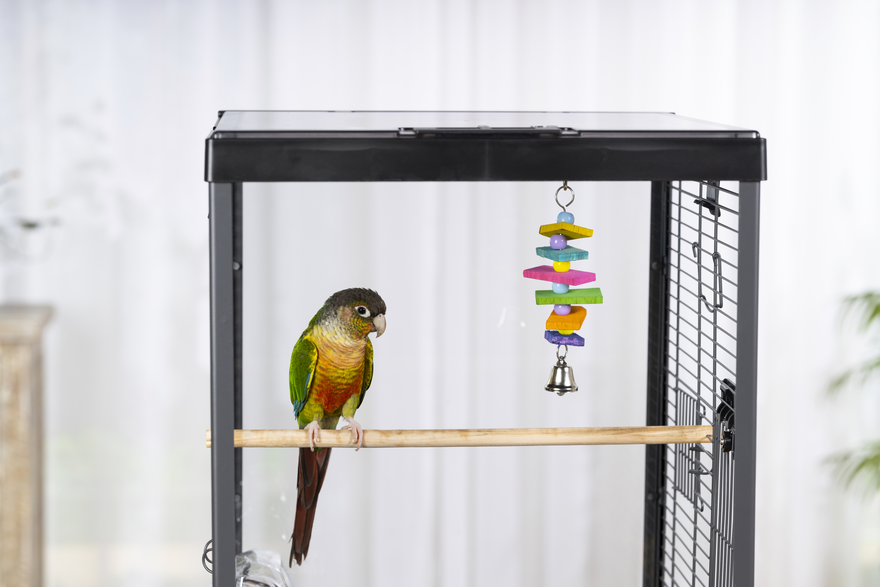 Prevue Pet Regenbogen-Acryl-Wasserrad Sitzstange – Vogelspielzeug Für Mittelgroße Vögel | 11,4 X 6,3 Cm | 100% Vogelsicher