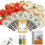 QUIVY Strawberry Seed Pod Kit for AeroGarden, Ahopegarden, iDOO Indoor Hydroponics - Includes 400+ Strawberry Seeds, 8 Pods