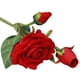 thumbnail image 2 of Billuyoard Manojo de rosas de seda, tela de simulación, rosas, decoración del hogar para bodas, flores artificiales Decoración No.04, 2 of 6