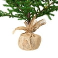 thumbnail image 6 of Northlight Pre-lit Christmas Tree with Pinecones and Burlap Base - 4' - Clear Lights, 6 of 8