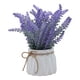 thumbnail image 2 of planta dec. lavanda 24cm, 2 of 7