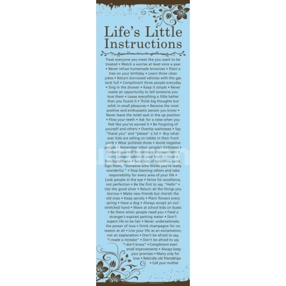 Life'S Little Instructions Laminated Poster (36 X 12)