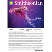 Smithsonian NSI LED Jellyfish Desktop Aquarium Decor in Blue
