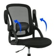 Mainstays Ergonomic Mesh Back Task Office Chair with Flipup Arms
