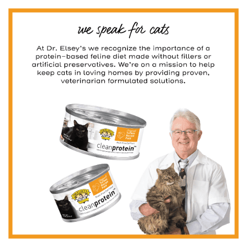Dr. Elsey's cleanprotein Turkey Flavor Wet Cat Food, 5.3 oz. can (24 pack case)