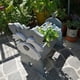 thumbnail image 4 of Maceta de madera decorativa con diseño de perro Schnauzer gris, ideal para jardines, patios o interiores. ¡Perfecta para amantes de los perros!, 4 of 5