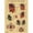 21, variant on Retro Organ Systems In The Human Body Posters Skeleton Anatomy Kraft Paper Prints DIY Vintage Home Room Art Wall Decor Paintings, 50*70cm, unframed.,23