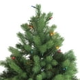 thumbnail image 5 of Northlight 7.5' Prelit Full Artificial Christmas Tree Noble Fir - Multi-Color Lights, 5 of 8