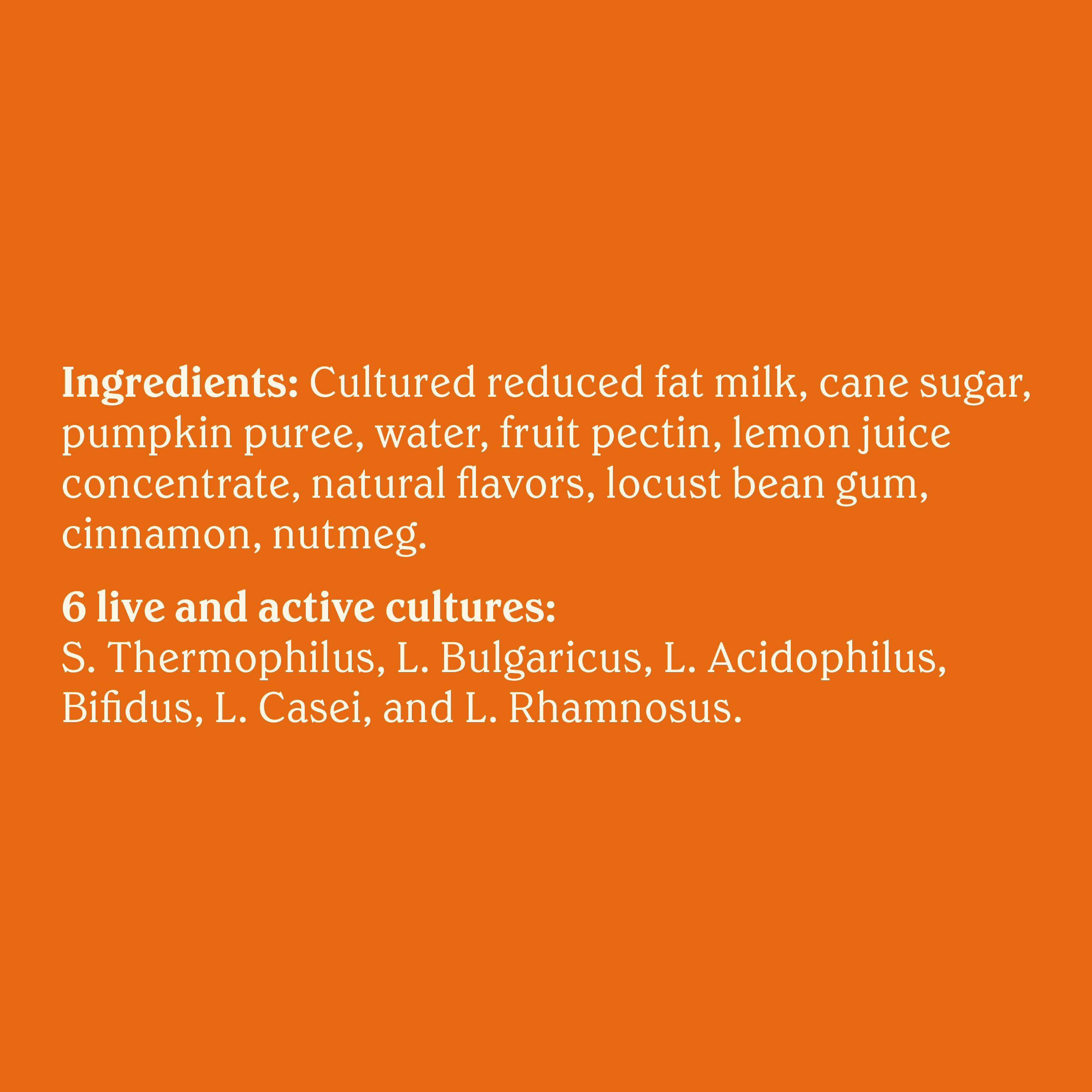Chobani Greek Yogurt Limited Batch Pumpkin Spice Blended 5.3 oz Cup