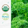 thumbnail image 3 of Back to the Roots Organic Parsley 'Double Curled', 1 Seed packet, 3 of 7