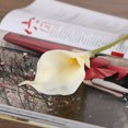 thumbnail image 4 of Wdftyju Ramo de novia de 20 piezas Calla, látex, sensación Real, flor, leche, blanco Wdftyju 9hn4ac0xa1ud6D02, 4 of 6