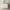 White, variant on Linor 10 Drawer Dresser, 55" Modern White Dressers, Chest of Drawers, Wooden Wide Dresser for Bedroom, Living Room, White