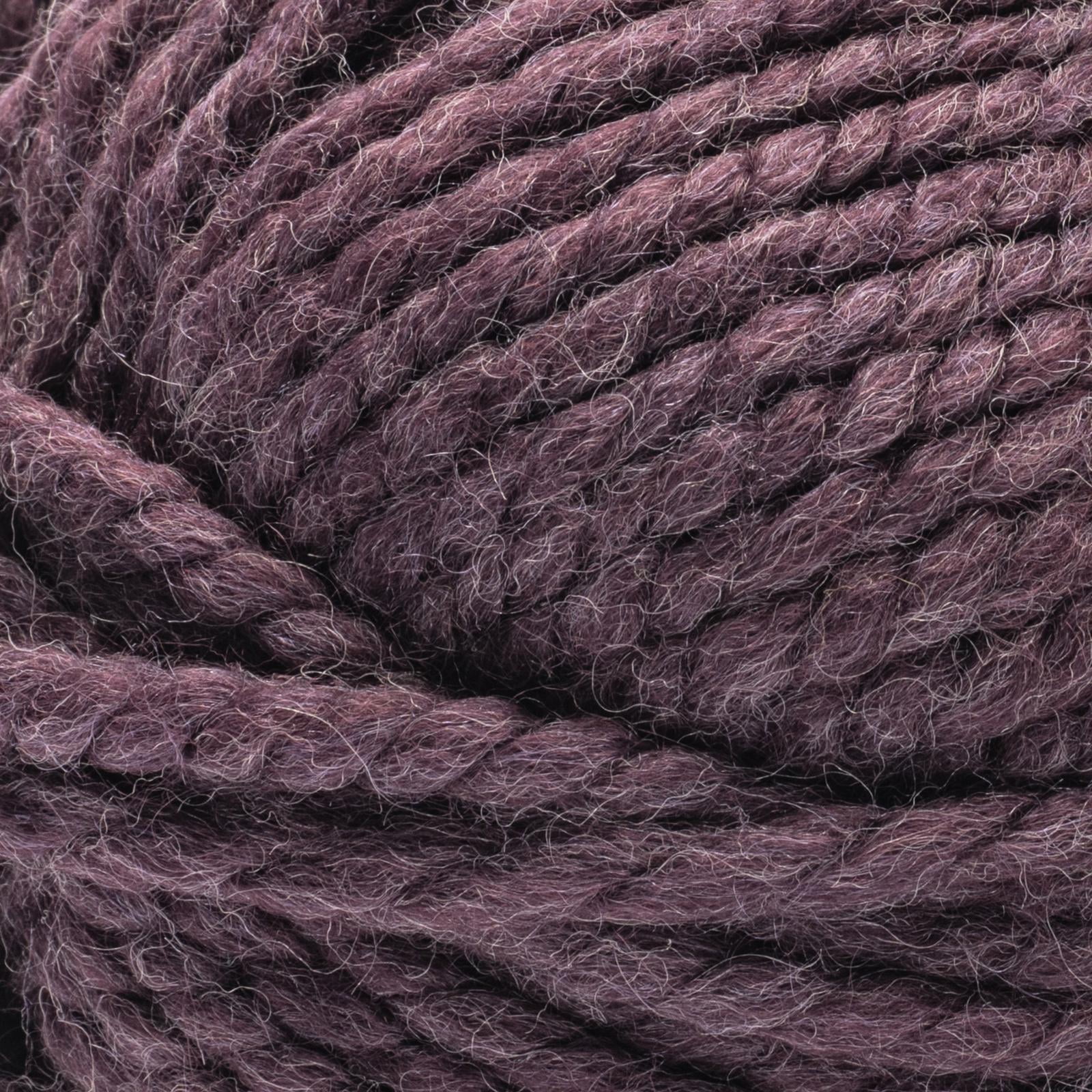 Bernat® Future Recycled Wool™ #6 Super Bulky Blend Yarn, Plum Luck 6oz/170g 108 Yards (3 Pack)