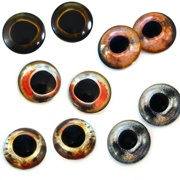 Fish Glass Eyes Bundle - 5 Pairs