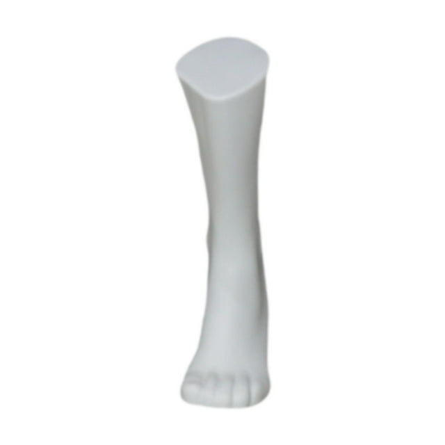 Soporte de pantalla de calcetines para hombres de Mannequin Foot para hombres para uso de uso comercial largo